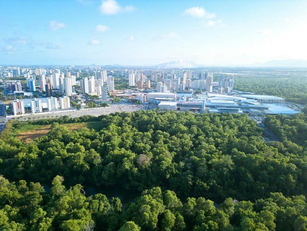 Les avancées de l'intelligence artificielle en 2023